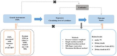 Causal associations between circulating cytokines and risk of sepsis and related outcomes: a two-sample Mendelian randomization study